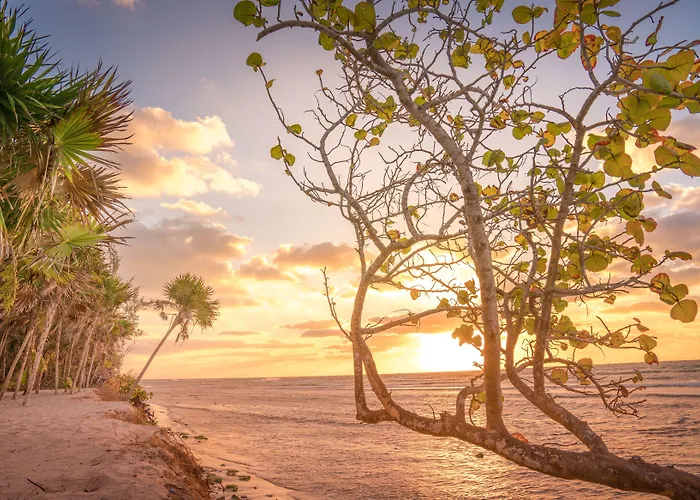 Platinum Yucatan Princess Adults Only Playa del Carmen